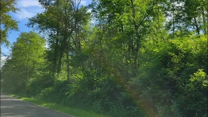 Windermere Real Estate/Whatcom, Inc. - 0 Chief Martin Road