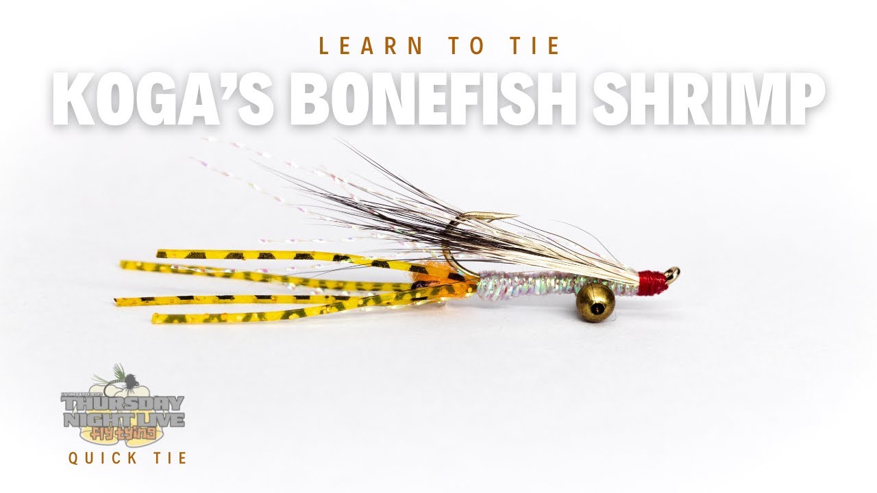 Tie Like a Pro: Koga's Bonefish Shrimp Fly Tying Tutorial 