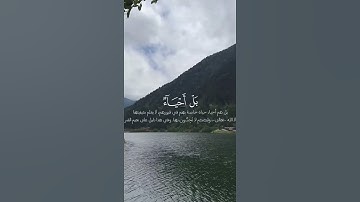 تلاوة هادئة للشيخ الحصري❤️ #قرآن #اكسبلور #quran #تلاوة_خاشعة #راحة_نفسية #الحصري #كل_عام_وأنت_بخير
