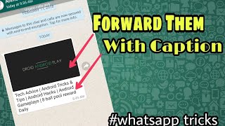 How to forward Whatsapp Images & Videos with Caption screenshot 3
