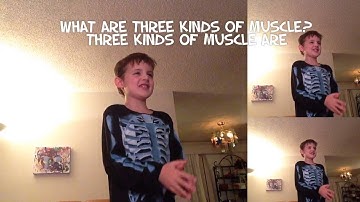 CC cycle 3, week 3, science. What are three kinds of muscle.