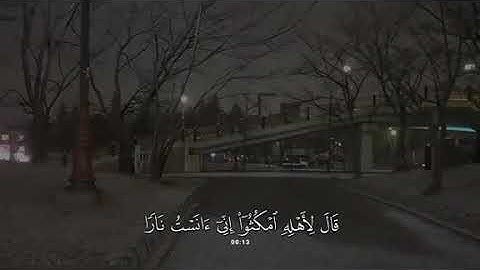 جزء 3 | تلاوة هادئة آيات من سورة القصص بصوت جداً جميل  - محمد بو حسون ✨ .