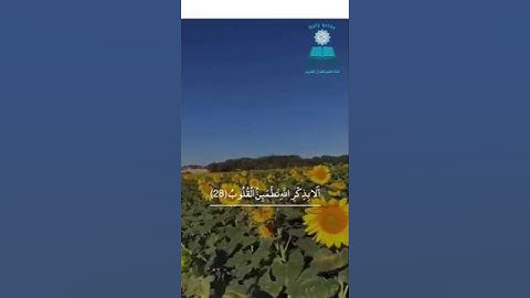﴿ الَّذِينَ آمَنُوا وَتَطْمَئِنُّ قُلُوبُهُم بِذِكْرِ اللَّهِ...🌙 تلاوة مؤثرة القارئ اسلام صبحى 🌟