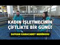 Kadın İşletmecinin Çiftlikte Bir Günü! (safkan karacabey merinosu) - Koyuncu