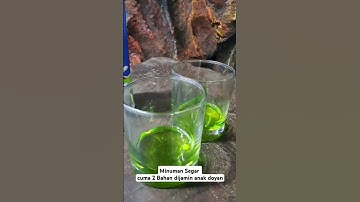 Thumbnail of minuman segar cuma 2 bahan 🤗 kesukaan anak anak #minumankekinian #minuman #minumsusu