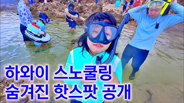 물반고기반 하와이 스노클링 반드시 이곳으로 가세요!  하나우나 베이 가실려고 했던 분은 잠시만!  ◁ 미국여행 하와이 ▷ 하와이 샥스코브