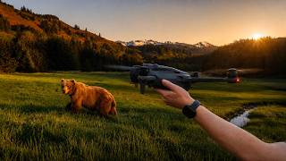 Maybe I Was Wrong About Drones & Wildlife