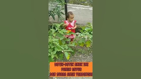 detik detik suara aneh terdengar saat anak ini memetik sayura, strange sound can be heard
