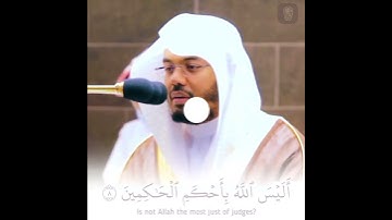 سورة التين // ياسر الدوسري || حالات واتساب قرآن 💙