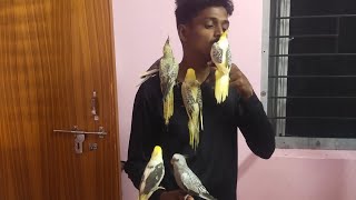 Ellārum eṉṉa paṇṟīṅka