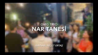 Nar Tanesi | OLTAYA MARTI GELD!