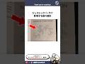 ジュラシックパークに描かれた図形 #雑学 #まとめる犬