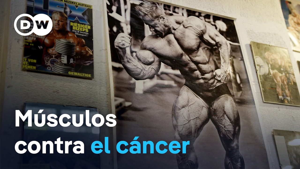Músculos - más que fuerza y bombeo | DW Documental