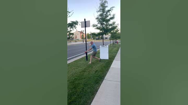 Excited Doggy Drags Man Along For Zoomies || ViralHog