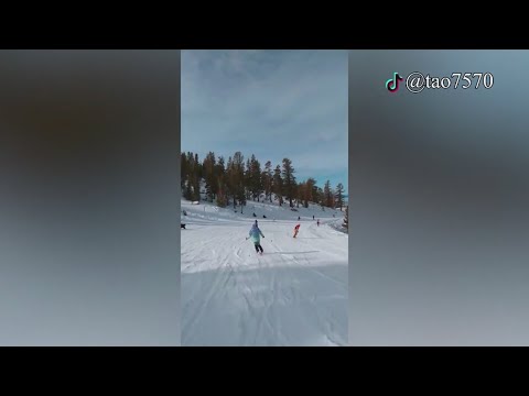 Wild video shows bear sprint past skiers at California ski resort