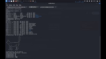Ridiculously Easy CTF Challenges: Beginner-Friendly Penetration Testing Tips!