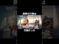 病院の穴場は天国だった #猫ミーム