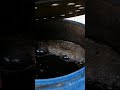 شاي الكمبوست جاهز وإضافتة إلى الأشجار مع الري ومراعاة الكمية