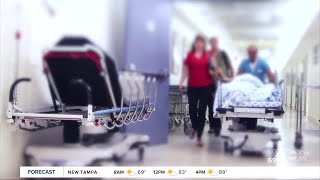 More than a dozen residents evacuated from 2 Pinellas nursing homes, county official confirms