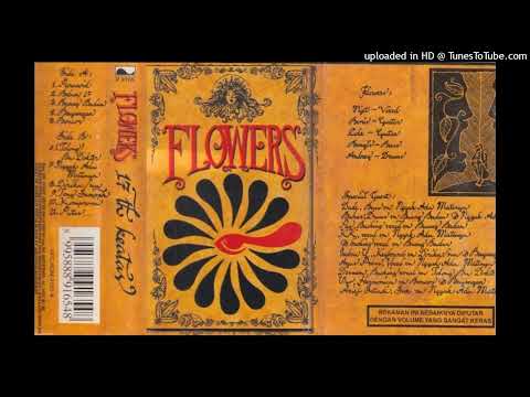 Putar Paranoid - The Flowers