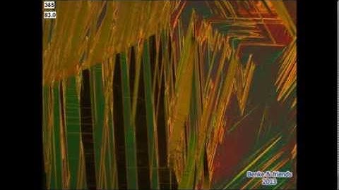 Martensitic Transformations in CuAlNi Based Shape Memory Alloys