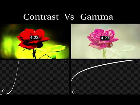 Contrast Vs Gamma | Nuke node Value Study