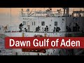 Operation Dawn of Gulf of Aden: South Korean Special Forces in the Arabian Sea | January 2011