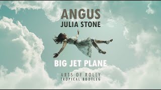 Angus and Julia Stone  - Big Jet Plane (Arts Of Rolly Tropical Bootleg 2024)