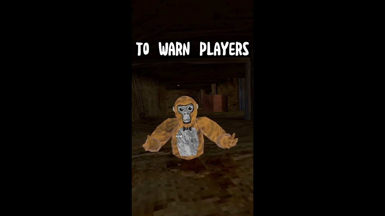 Warning Bot Explained Gorillatag Gtag Gorillatagvr Oculusquest2