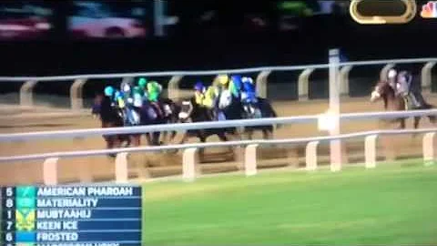 2015 Triple Crown Winner American Pharaoh