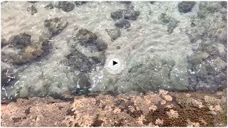 Las aguas cristalinas del Cantábrico