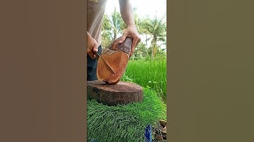 Amazing Coconut Peeling Skills! #satisfying #coconut #bamboo #woodscraft