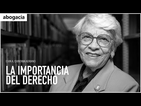 La importancia del Derecho | Elvia Arcelia Quintana Adriano