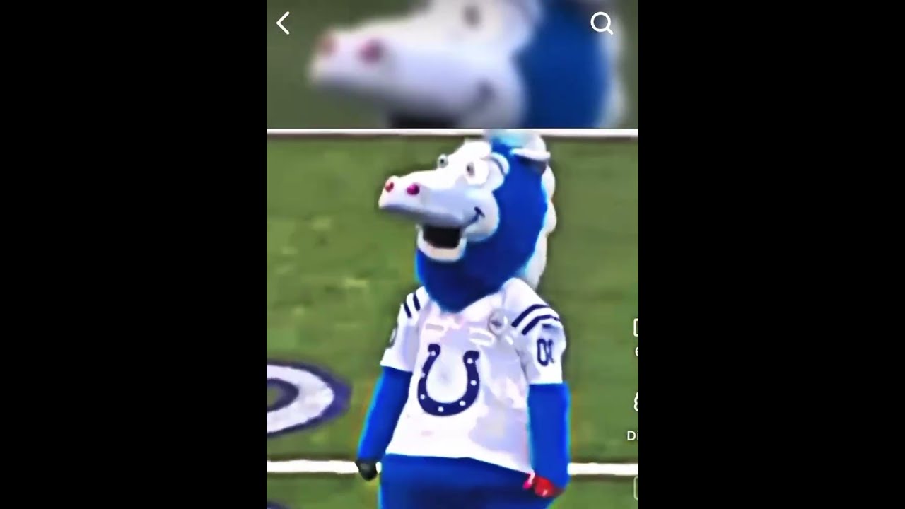 Introducing The WILDEST MASCOTS Of NFL Shorts Nfl 