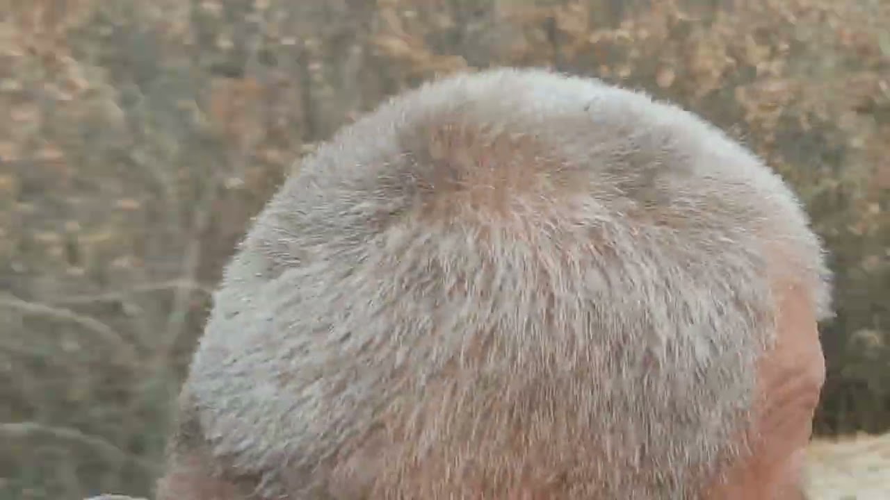 Köyde odun teminetme. 