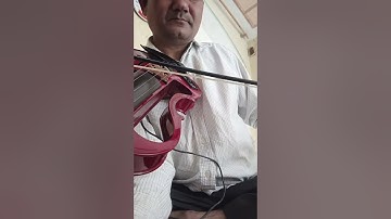 violin pickup change and technical issues repair video content Sandeep Sharma 9837555237