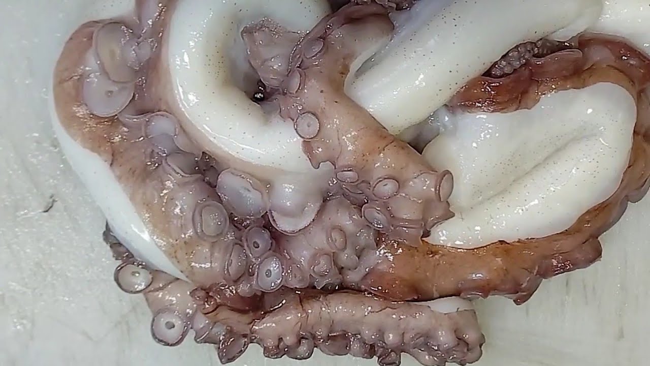 水蛸 特製タコの唐揚げ になるまで Youtube