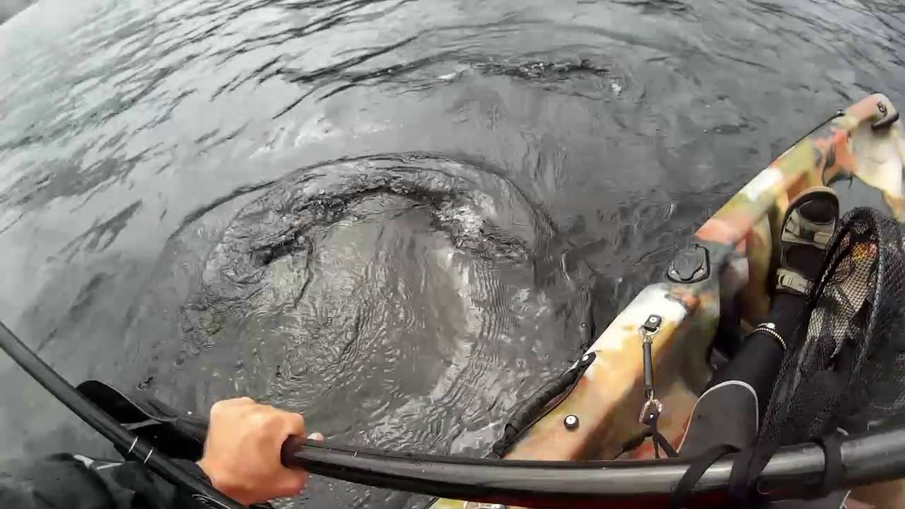 Kayak Fishing @ Loch Earn 23.07.2016 - YouTube