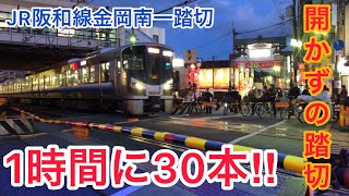 【定点10倍速】JR阪和線金岡南一踏切