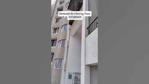 Best bird netting service in PCMC & Pune. 7420989424