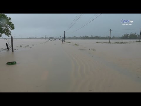 Video HẢI LĂNG: HƠN 2.600 HA LÚA ĐÔNG XUÂN BỊ NGẬP NẶNG,... - youtube