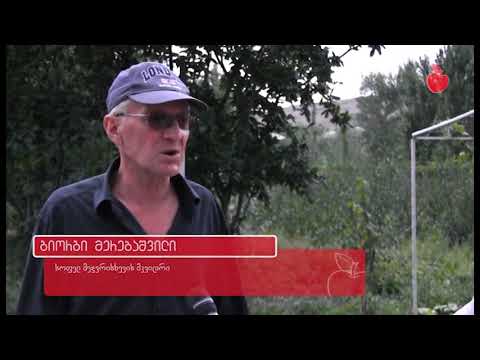 ღრომი და მეჯვრისხევი