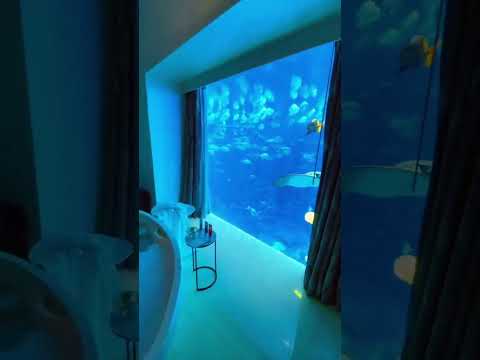 Imagine Waking Up Underwater 💦💦 || Dubai Luxury Life #travel #luxury #dubai #dubailife