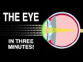 EYE ANATOMY IN 3 MINUTES!