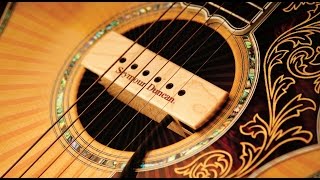 Seymour Duncan® SA-3HC Cápsulas Guitarra Acústica Woody Humbucker Canceling Maple video