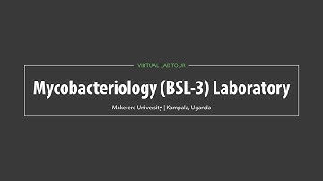Makerere University Virtual Lab Tour: Mycobacteriology (BSL-3) Laboratory