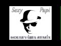 Claydee - Sexy Papi (Housevibes 2k13 Electro Remix)