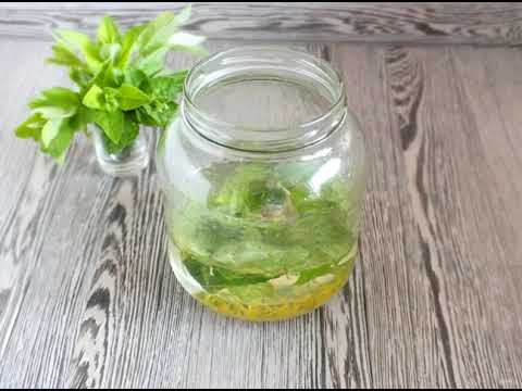 Mint tincture on vodka. Home recipe step by step