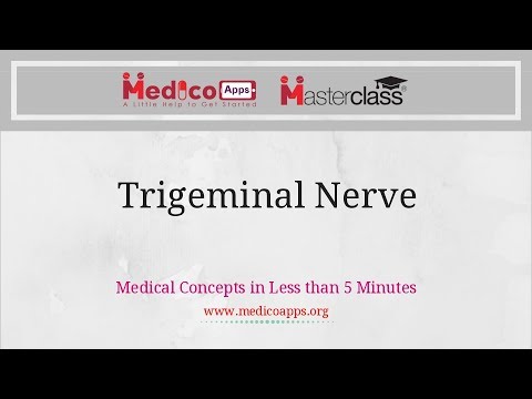 Trigeminal Nerve, CN V. 
