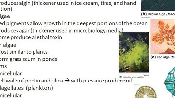 Microbiology chapter 12